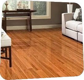Living Room Bamboo flooring